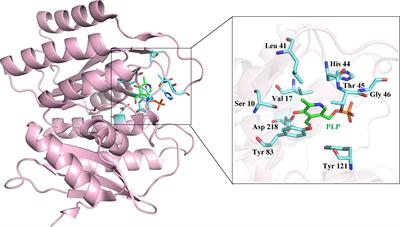 Inhibiting Pyridoxal Kinase of Entamoeba histolytica Is Lethal for This Pathogen